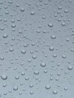 IMG_5459_25.jpeg