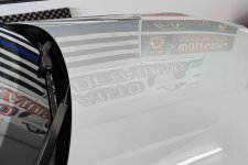 20240427_133649-Enhanced-SR web.jpg