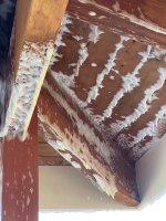 IMG_1652.jpeg