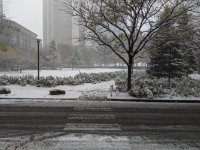 winter-resize.jpg