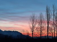 IMG_5866.jpeg