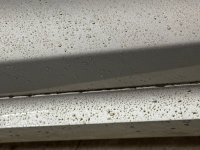 IMG_5951.jpeg