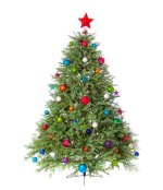christmas-tree-isolated.jpg