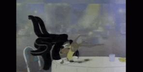1737632458774.gif