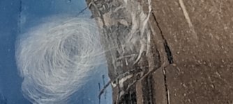 20250202_141136.jpg
