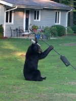 IMG_4482.jpeg