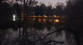 20250209_180238.jpg