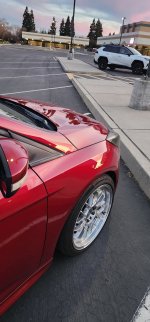 20250224_180455.jpg