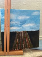 IMG_2230.jpeg