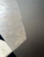 IMG_8734.jpeg