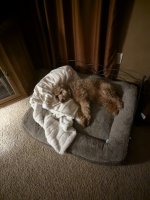 Mia Relaxing.jpg