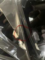 IMG_8853.jpeg