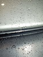 PSX_20250501_201622.jpg