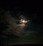 20250513_202254.jpg