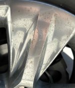 IMG_2127.jpeg