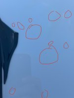 IMG_1978.jpeg