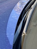 IMG_6498.jpeg