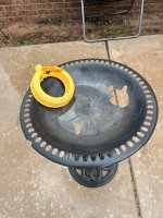 IMG_4010.jpeg