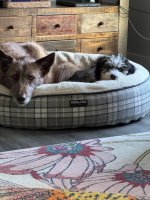 IMG_6670.jpeg