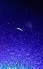 PSX_20250724_173108.jpg