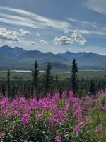 IMG_8073.jpeg