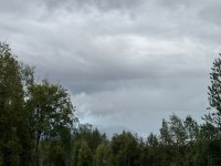 IMG_6797.jpeg