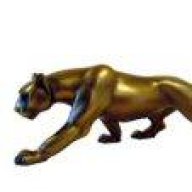 Panther