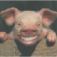 Hogwash