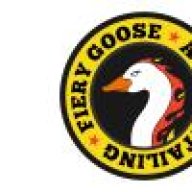 Fiery Goose