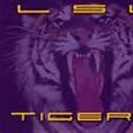 Tiger1