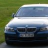 bluebimmer