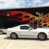 ShelbyGTS