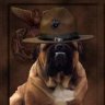 Devildog35