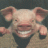 Hogwash