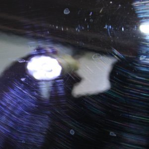newb001