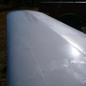 warrior151