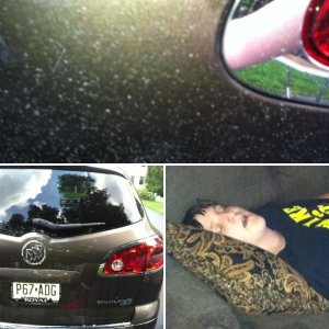 kmsdetailing