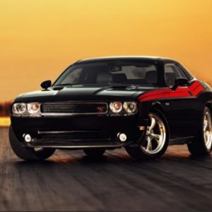 stetsonato
