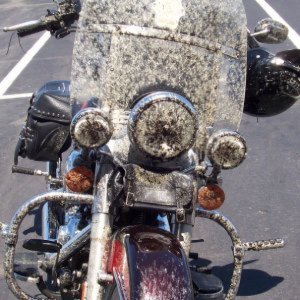 kseckel99