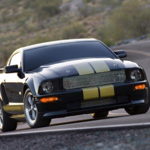 shelby1981
