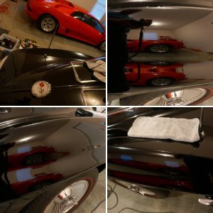 shinyfenders