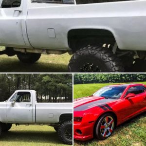 adamgayton81