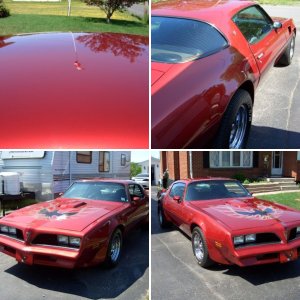 Trans AM Album