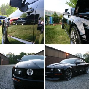 Mustang