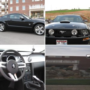 09 Pony Pics