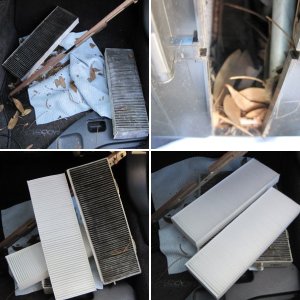 DP Odor Bomb