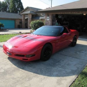 MY 97 Vett