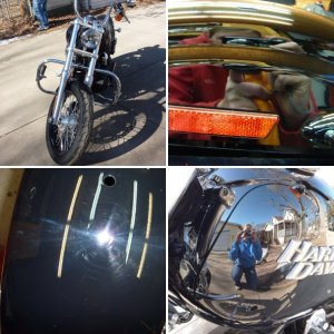 Harley Street Bob Vivid Black