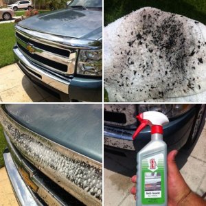Bug Removal