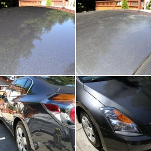 ALTIMA